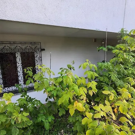 Appartement Kleine 1 *